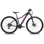Bicicleta  Oggi 29 Float 5.0 24v tam 15,5 pink